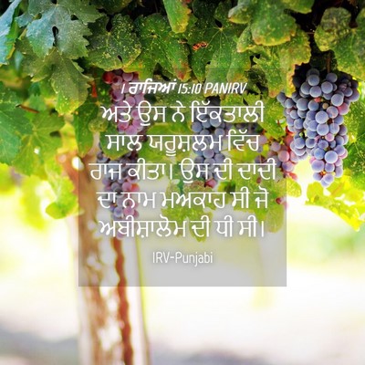 Picture 04 - 1 ਰਾਜਿਆਂ 15:10 PANIRV - ਅਤੇ ਉਸ ਨੇ ਇੱਕਤਾਲੀ - Bible Verse Picture
