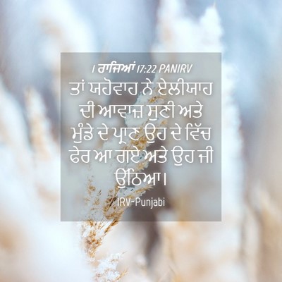 Picture 04 - 1 ਰਾਜਿਆਂ 17:22 PANIRV - ਤਾਂ ਯਹੋਵਾਹ ਨੇ - Bible Verse Picture