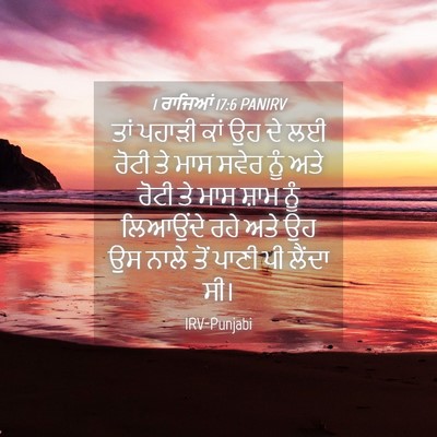 Picture 04 - 1 ਰਾਜਿਆਂ 17:6 PANIRV - ਤਾਂ ਪਹਾੜੀ ਕਾਂ ਉਹ ਦੇ - Bible Verse Picture