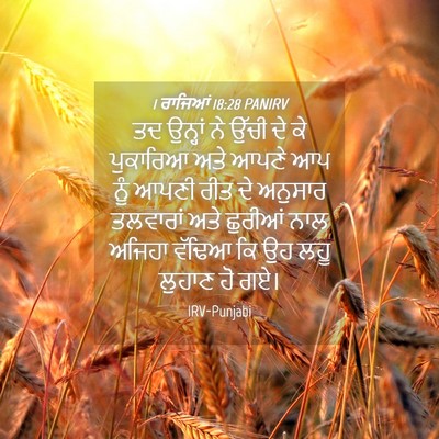 Picture 04 - 1 ਰਾਜਿਆਂ 18:28 PANIRV - ਤਦ ਉਨ੍ਹਾਂ ਨੇ ਉੱਚੀ - Bible Verse Picture
