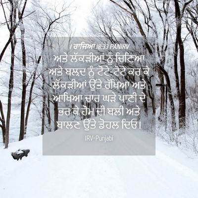 Picture 04 - 1 ਰਾਜਿਆਂ 18:33 PANIRV - ਅਤੇ ਲੱਕੜੀਆਂ ਨੂੰ - Bible Verse Picture
