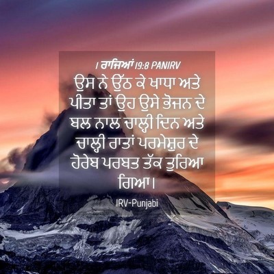 Picture 04 - 1 ਰਾਜਿਆਂ 19:8 PANIRV - ਉਸ ਨੇ ਉੱਠ ਕੇ ਖਾਧਾ - Bible Verse Picture