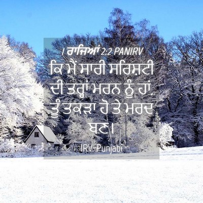 Picture 04 - 1 ਰਾਜਿਆਂ 2:2 PANIRV - ਕਿ ਮੈਂ ਸਾਰੀ - Bible Verse Picture