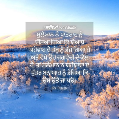 Picture 04 - 1 ਰਾਜਿਆਂ 2:29 PANIRV - ਸੁਲੇਮਾਨ ਨੇ - Bible Verse Picture
