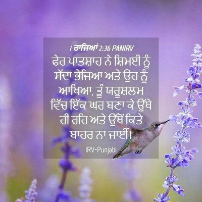 Picture 04 - 1 ਰਾਜਿਆਂ 2:36 PANIRV - ਫੇਰ ਪਾਤਸ਼ਾਹ ਨੇ - Bible Verse Picture
