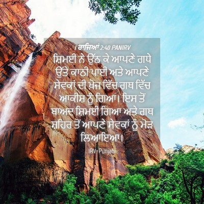 Picture 04 - 1 ਰਾਜਿਆਂ 2:40 PANIRV - ਸ਼ਿਮਈ ਨੇ ਉੱਠ ਕੇ - Bible Verse Picture