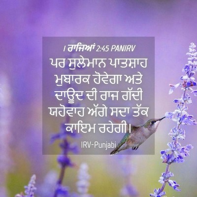 Picture 04 - 1 ਰਾਜਿਆਂ 2:45 PANIRV - ਪਰ ਸੁਲੇਮਾਨ - Bible Verse Picture