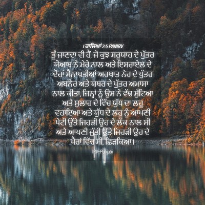 Picture 04 - 1 ਰਾਜਿਆਂ 2:5 PANIRV - ਤੂੰ ਜਾਣਦਾ ਵੀ ਹੈਂ, - Bible Verse Picture