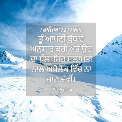 Picture 04 - 1 ਰਾਜਿਆਂ 2:6 PANIRV - ਤੂੰ ਆਪਣੀ ਬੁੱਧ ਦੇ - Bible Verse Picture