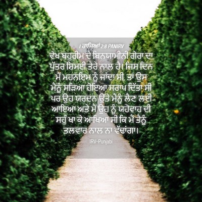 Picture 04 - 1 ਰਾਜਿਆਂ 2:8 PANIRV - ਵੇਖ ਬਹੁਰੀਮ ਦੇ - Bible Verse Picture