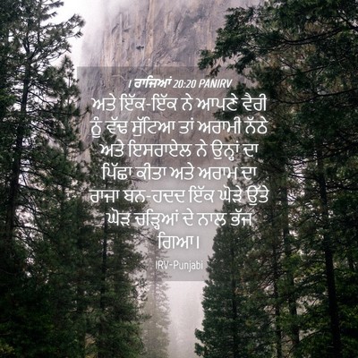 Picture 04 - 1 ਰਾਜਿਆਂ 20:20 PANIRV - ਅਤੇ ਇੱਕ-ਇੱਕ ਨੇ ਆਪਣੇ - Bible Verse Picture
