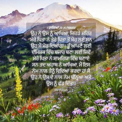 Picture 04 - 1 ਰਾਜਿਆਂ 20:34 PANIRV - ਉਹ ਨੇ ਉਸ ਨੂੰ ਆਖਿਆ, - Bible Verse Picture
