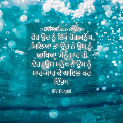 Picture 04 - 1 ਰਾਜਿਆਂ 20:37 PANIRV - ਫੇਰ ਉਹ ਨੂੰ ਇੱਕ ਹੋਰ - Bible Verse Picture