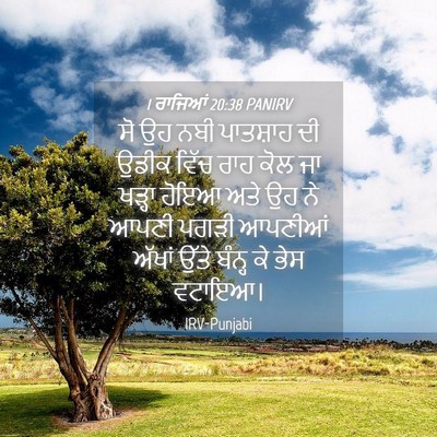 Picture 04 - 1 ਰਾਜਿਆਂ 20:38 PANIRV - ਸੋ ਉਹ ਨਬੀ ਪਾਤਸ਼ਾਹ - Bible Verse Picture