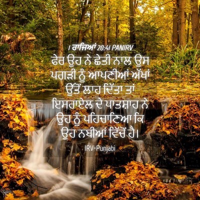 Picture 04 - 1 ਰਾਜਿਆਂ 20:41 PANIRV - ਫੇਰ ਉਹ ਨੇ ਛੇਤੀ ਨਾਲ - Bible Verse Picture