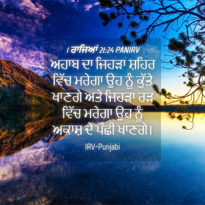 Picture 04 - 1 ਰਾਜਿਆਂ 21:24 PANIRV - ਅਹਾਬ ਦਾ ਜਿਹੜਾ - Bible Verse Picture