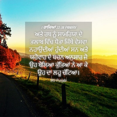 Picture 04 - 1 ਰਾਜਿਆਂ 22:38 PANIRV - ਅਤੇ ਰਥ ਨੂੰ ਸਾਮਰਿਯਾ - Bible Verse Picture