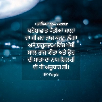 Picture 04 - 1 ਰਾਜਿਆਂ 22:42 PANIRV - ਯਹੋਸ਼ਾਫ਼ਾਤ - Bible Verse Picture
