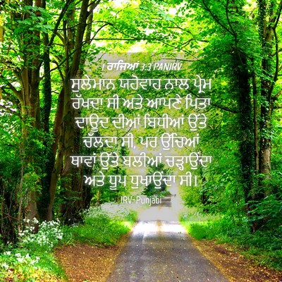 Picture 04 - 1 ਰਾਜਿਆਂ 3:3 PANIRV - ਸੁਲੇਮਾਨ ਯਹੋਵਾਹ - Bible Verse Picture