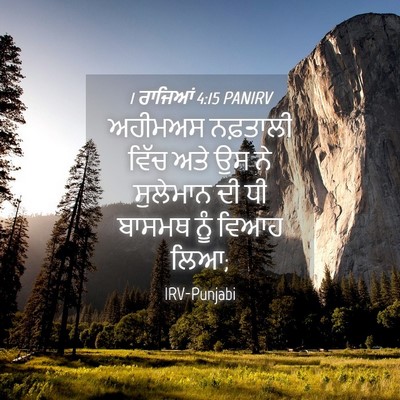Picture 04 - 1 ਰਾਜਿਆਂ 4:15 PANIRV - ਅਹੀਮਅਸ ਨਫ਼ਤਾਲੀ - Bible Verse Picture