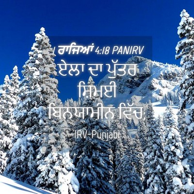 Picture 04 - 1 ਰਾਜਿਆਂ 4:18 PANIRV - ਏਲਾ ਦਾ ਪੁੱਤਰ ਸ਼ਿਮਈ - Bible Verse Picture