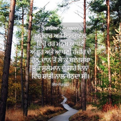 Picture 04 - 1 ਰਾਜਿਆਂ 4:25 PANIRV - ਯਹੂਦਾਹ ਅਤੇ ਇਸਰਾਏਲ - Bible Verse Picture