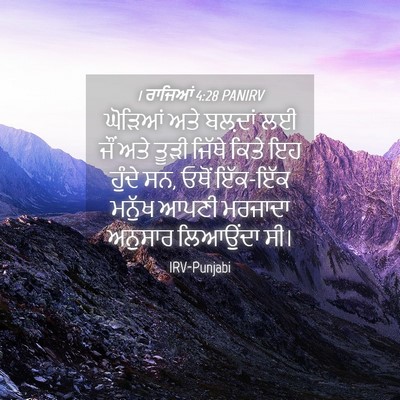 Picture 04 - 1 ਰਾਜਿਆਂ 4:28 PANIRV - ਘੋੜਿਆਂ ਅਤੇ ਬਲ਼ਦਾਂ - Bible Verse Picture