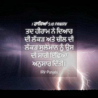 Picture 04 - 1 ਰਾਜਿਆਂ 5:10 PANIRV - ਤਦ ਹੀਰਾਮ ਨੇ ਦਿਆਰ ਦੀ - Bible Verse Picture