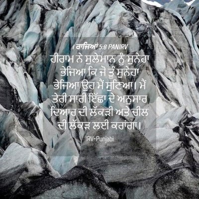 Picture 04 - 1 ਰਾਜਿਆਂ 5:8 PANIRV - ਹੀਰਾਮ ਨੇ ਸੁਲੇਮਾਨ - Bible Verse Picture