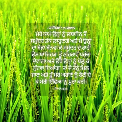 Picture 04 - 1 ਰਾਜਿਆਂ 5:9 PANIRV - ਮੇਰੇ ਕਾਮੇ ਉਨ੍ਹਾਂ - Bible Verse Picture