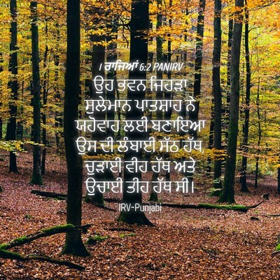 Picture 04 - 1 ਰਾਜਿਆਂ 6:2 PANIRV - ਉਹ ਭਵਨ ਜਿਹੜਾ - Bible Verse Picture