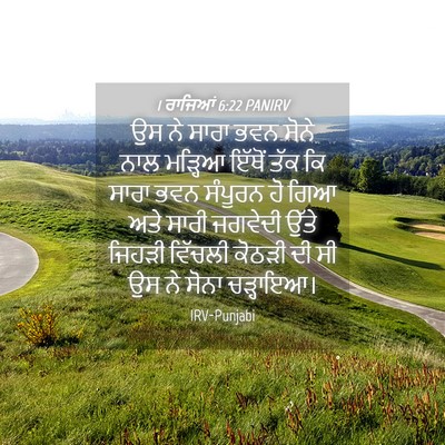 Picture 04 - 1 ਰਾਜਿਆਂ 6:22 PANIRV - ਉਸ ਨੇ ਸਾਰਾ ਭਵਨ ਸੋਨੇ - Bible Verse Picture