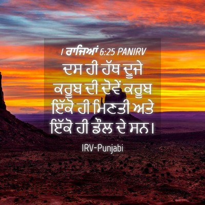 Picture 04 - 1 ਰਾਜਿਆਂ 6:25 PANIRV - ਦਸ ਹੀ ਹੱਥ ਦੂਜੇ ਕਰੂਬ - Bible Verse Picture