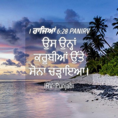 Picture 04 - 1 ਰਾਜਿਆਂ 6:28 PANIRV - ਉਸ ਉਨ੍ਹਾਂ ਕਰੂਬੀਆਂ - Bible Verse Picture
