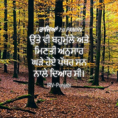 Picture 04 - 1 ਰਾਜਿਆਂ 7:11 PANIRV - ਉੱਤੇ ਵੀ ਬਹੁਮੁੱਲੇ - Bible Verse Picture