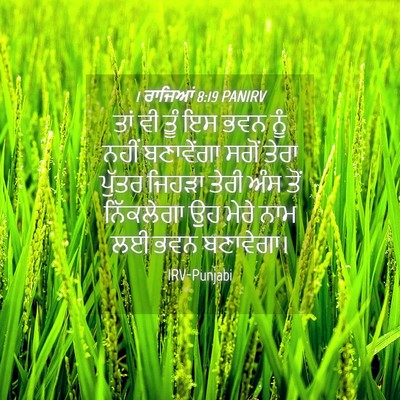 Picture 04 - 1 ਰਾਜਿਆਂ 8:19 PANIRV - ਤਾਂ ਵੀ ਤੂੰ ਇਸ ਭਵਨ - Bible Verse Picture