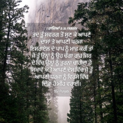 Picture 04 - 1 ਰਾਜਿਆਂ 8:36 PANIRV - ਤਦ ਤੂੰ ਸਵਰਗ ਤੋਂ ਸੁਣ - Bible Verse Picture