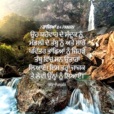 Picture 04 - 1 ਰਾਜਿਆਂ 8:4 PANIRV - ਉਹ ਯਹੋਵਾਹ ਦੇ ਸੰਦੂਕ - Bible Verse Picture