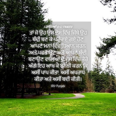 Picture 04 - 1 ਰਾਜਿਆਂ 8:47 PANIRV - ਤਾਂ ਜੋ ਉਹ ਉਸ ਦੇਸ - Bible Verse Picture