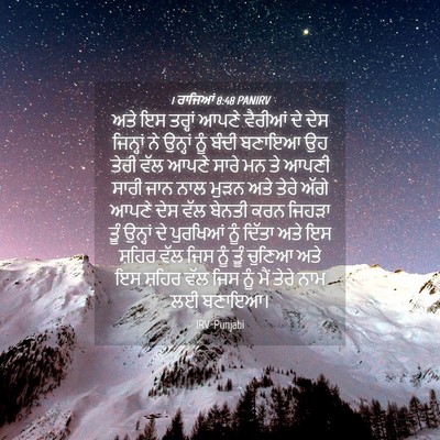 Picture 04 - 1 ਰਾਜਿਆਂ 8:48 PANIRV - ਅਤੇ ਇਸ ਤਰ੍ਹਾਂ ਆਪਣੇ - Bible Verse Picture