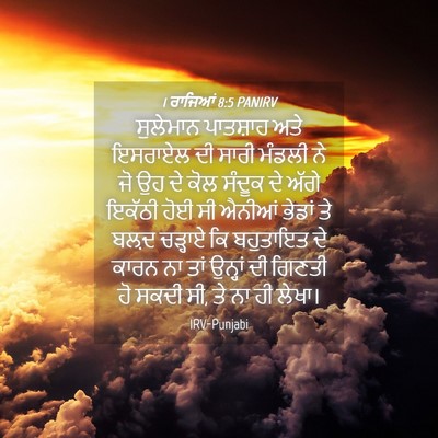 Picture 04 - 1 ਰਾਜਿਆਂ 8:5 PANIRV - ਸੁਲੇਮਾਨ ਪਾਤਸ਼ਾਹ - Bible Verse Picture