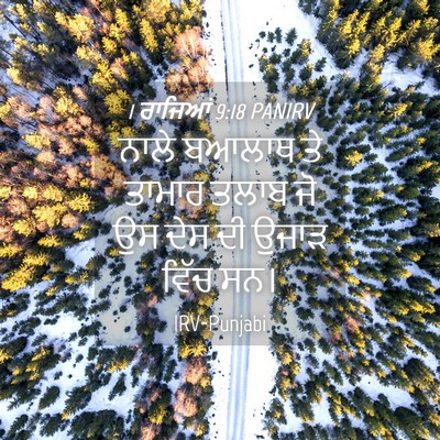 Picture 04 - 1 ਰਾਜਿਆਂ 9:18 PANIRV - ਨਾਲੇ ਬਆਲਾਥ ਤੇ - Bible Verse Picture