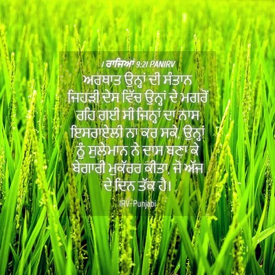 Picture 04 - 1 ਰਾਜਿਆਂ 9:21 PANIRV - ਅਰਥਾਤ ਉਨ੍ਹਾਂ ਦੀ - Bible Verse Picture
