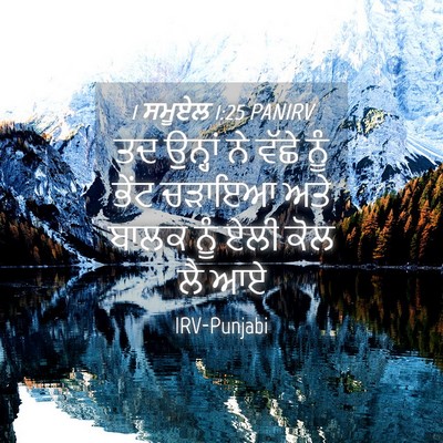 Picture 04 - 1 ਸਮੂਏਲ 1:25 PANIRV - ਤਦ ਉਨ੍ਹਾਂ ਨੇ ਵੱਛੇ - Bible Verse Picture