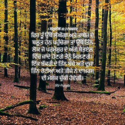 Picture 04 - 1 ਸਮੂਏਲ 10:3 PANIRV - ਫਿਰ ਤੂੰ ਉੱਥੋਂ - Bible Verse Picture
