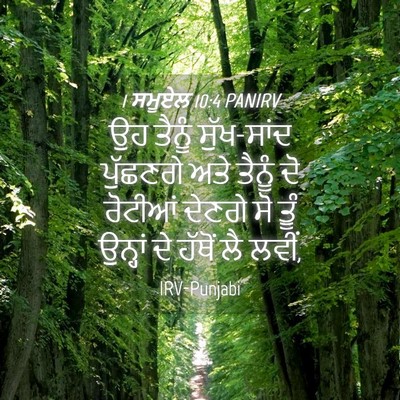 Picture 04 - 1 ਸਮੂਏਲ 10:4 PANIRV - ਉਹ ਤੈਨੂੰ ਸੁੱਖ-ਸਾਂਦ - Bible Verse Picture