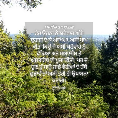 Picture 04 - 1 ਸਮੂਏਲ 12:10 PANIRV - ਫੇਰ ਉਹਨਾਂ ਨੇ - Bible Verse Picture