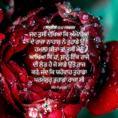 Picture 04 - 1 ਸਮੂਏਲ 12:12 PANIRV - ਜਦ ਤੁਸੀਂ ਦੇਖਿਆ ਕਿ - Bible Verse Picture