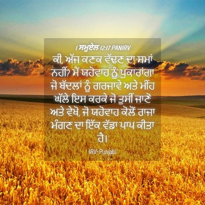 Picture 04 - 1 ਸਮੂਏਲ 12:17 PANIRV - ਕੀ, ਅੱਜ ਕਣਕ ਵੱਢਣ ਦਾ - Bible Verse Picture