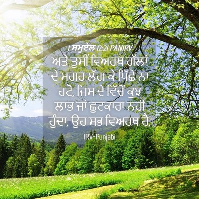 Picture 04 - 1 ਸਮੂਏਲ 12:21 PANIRV - ਅਤੇ ਤੁਸੀਂ ਵਿਅਰਥ - Bible Verse Picture